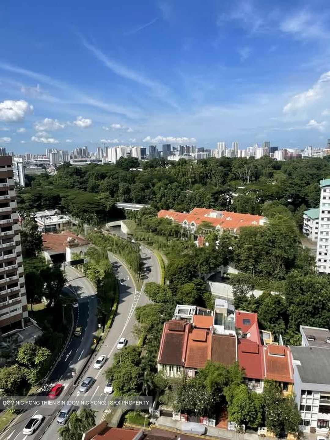 Cairnhill Crest (D9), Condominium #573511831